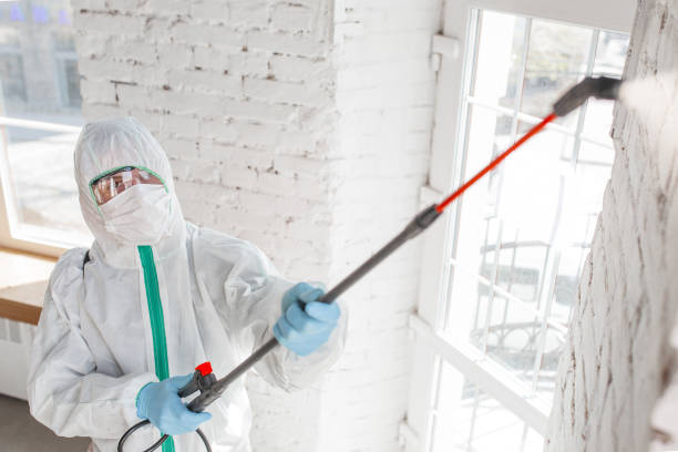 Mold Remediation for Vacation Homes in Paloma Creek South, TX