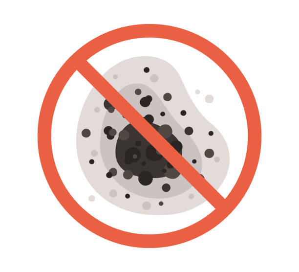 Professional Mold Removal in Paloma Creek South, TX