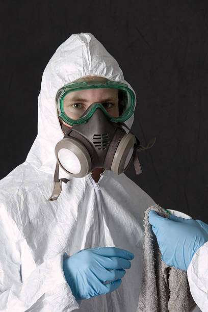 Best Real Estate Mold Inspection  in Paloma Creek South, TX